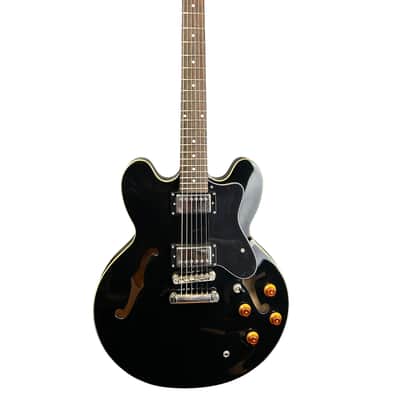 Epiphone The Dot, 2013, Ebony image 1