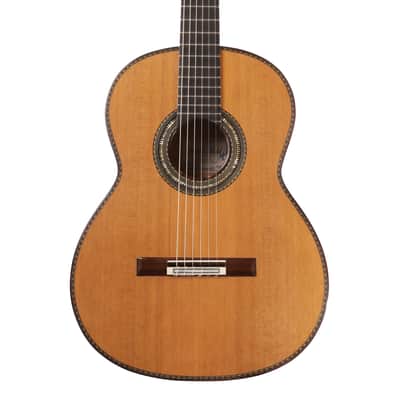 Manuel Adalid Special Edition Catedral X Anniversary - Cedar/Spruce Double top with Rose de Bois back/sides image 1