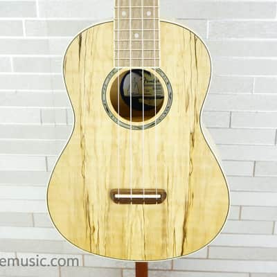 Fender Zuma Exotic Concert Ukulele - Natural Spalted Maple image 1