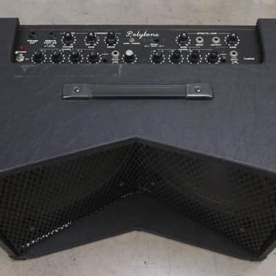 Polytone Taurus Solid State 2x12" Guitar Combo Amplifier #47655 image 4