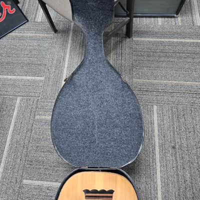 Oud 11 String w/Pickup image 5