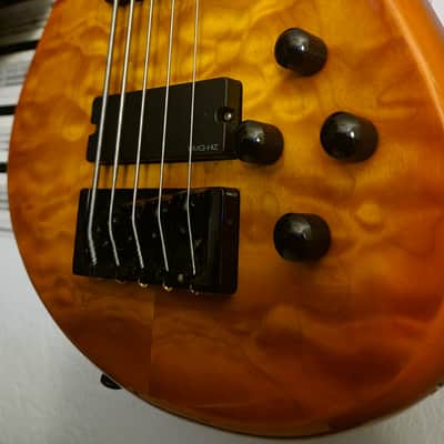 Immagine Spector Q5 Pro 5 String Emghz 35" scale
W/ tan Ibanez Power Pad (Soft Case) - 2