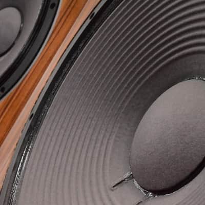 Augspurger Design Studio Monitor Mains TAD TL-1601b TH-4001 RCF 18' Subs #28554 image 17