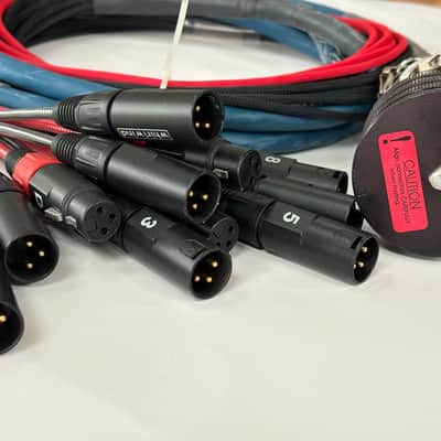 Whirlwind Medusa W5IRP to 8 male XLR and 4 female XLR fanout 2009 image 2