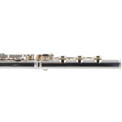 William S. Haynes Custom Silver Flute with B Foot, Offset G, C# Trill, Split E image 13
