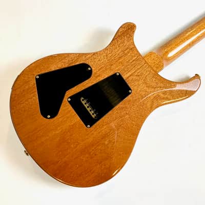 PRS Custom 24 Birds 10-Top Eriza Verde 2018 image 6