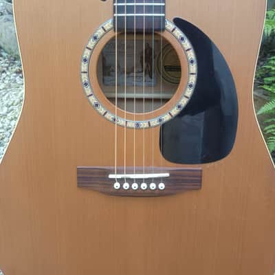 Art & lutherie Cedar 2006 image 3
