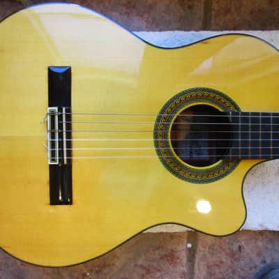 Ramirez CWR2 Classical Guitar, 1994, Cut 2 Studio Series, Cutaway, L.R. Braggs Electronics, Case image 14