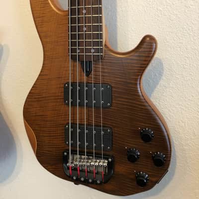 Wal Mk3 Custom 5 string Bass MK 3 image 20