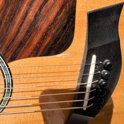 Taylor 618e with ES1 Electronics 2010 - Brown Sugar image 10