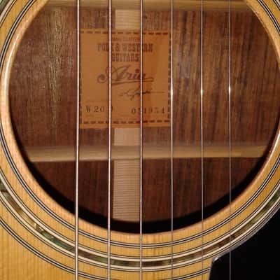 Rare ARIA W-20D Vintage MiJ Japan Acoustic Dreadnought Guitar image 3