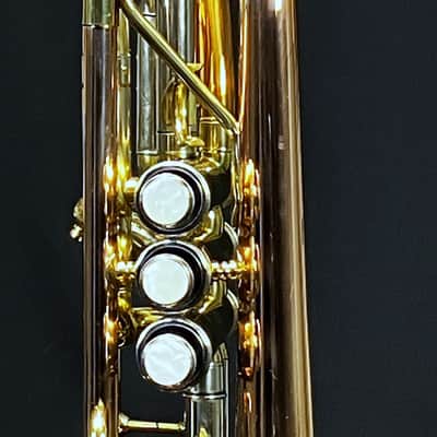 SCHILLER Shepards Crook Pro Elite Cornet in Brushed Rose 2019 image 9