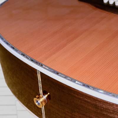 Zager ZAD-80 CD OM Guitar Bundle image 10
