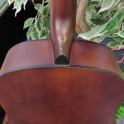 Olympia by Tacoma OD-2 Dreadnought Acoustic Guitar 2000's - Natural image 9
