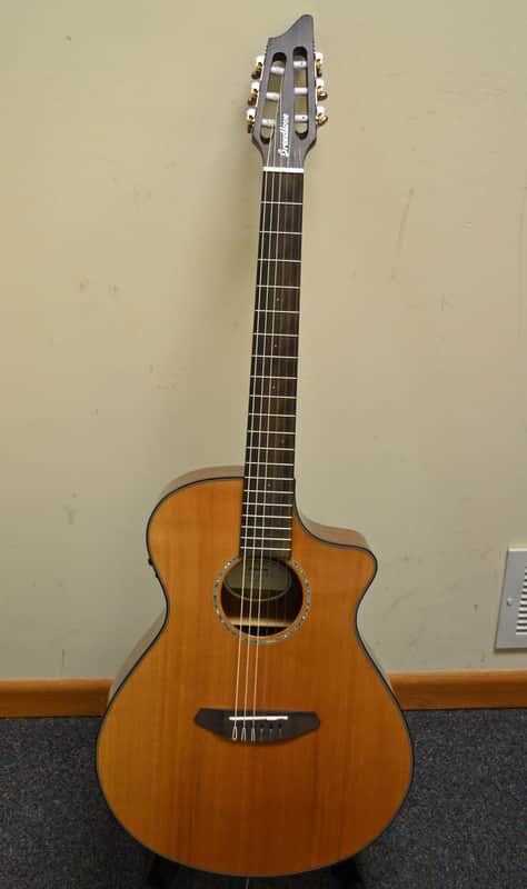 Breedlove Pursuit Nylon Electric image 1