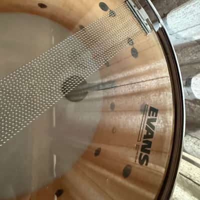 Ludwig Coliseum 14” x 8” Maple Snare Drum 1991 - Black image 14