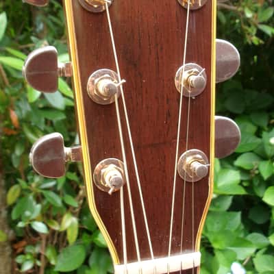 Takamine Elite TW60  Brazilian Rosewood '70 Natural+Hard Case image 11