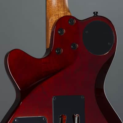 Godin xtSA Light Burst Flame incl. Gigbag - Electric Guitar image 10
