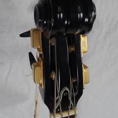 Apollo Violin Scroll Headstock Bass JAPAN image 3