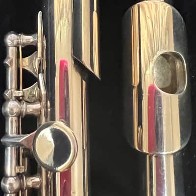 WILLIAM S. HAYNES Db PICCOLO 1923 - STERLING SILVER image 22
