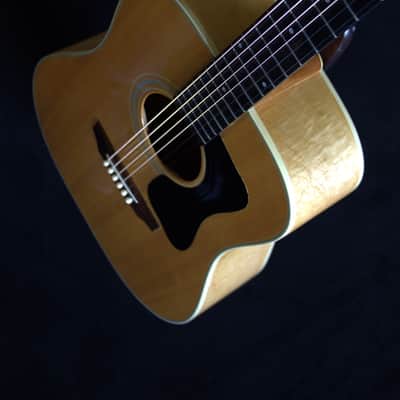 Guild D-44M 1972 - 1978 - Natural image 5
