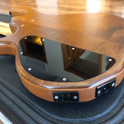 Wal Mk3 Custom 5 string Bass MK 3 image 13