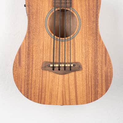 Gold Tone GT Series Micro Bass image 2