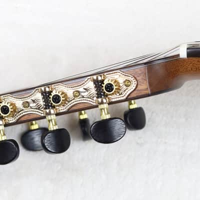 NEW Cathedral Model 107CEL 7-String Classical Harp Guitar w/Spruce Top, Pickup, Cutaway, w/SoftCase image 9