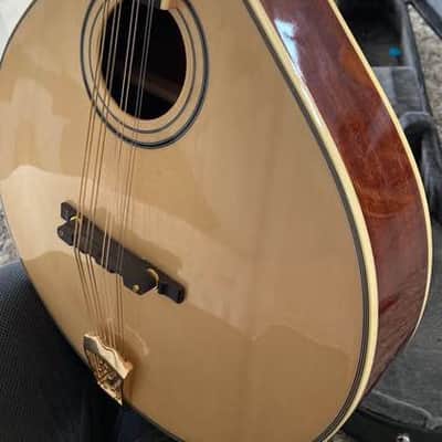 Gold Tone M-800+ Octave Mandoline 2021 image 2
