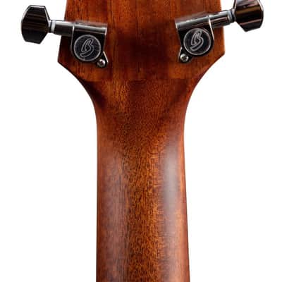 Breedlove DSCN01EUAM Discovery S Concert European-African Mahogany - Natural image 2