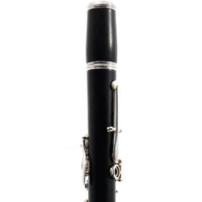 Buffet Crampon R13 Professional Bb Clarinet in Grenadilla SN F499157 image 7