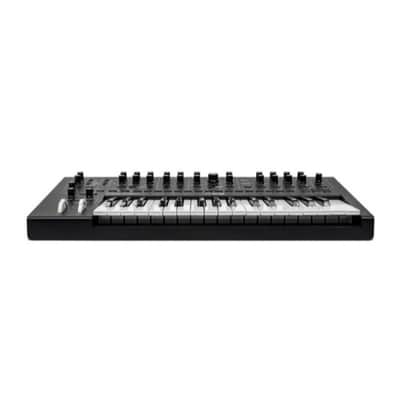 Moog Messenger Monophonic Analog Synthesizer 32-Key Velocity-Sensitive Keyboard with Dual Oscillators and Multimode Ladder Filter image 5
