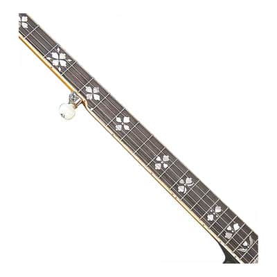 Gold Tone OB-250AT Professional Archtop Bluegrass Banjo image 3
