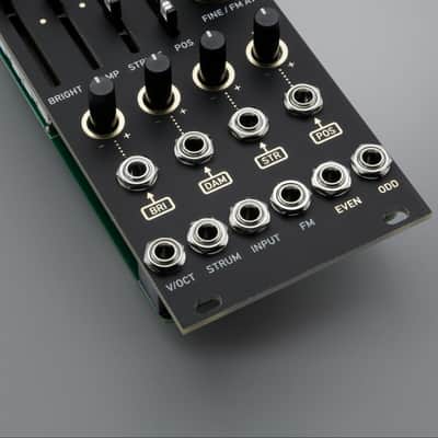 RINGS 12HP Version of Mutable Instruments Rings /// Rangoon //// Eurorack Modular /// Black & Gold image 3