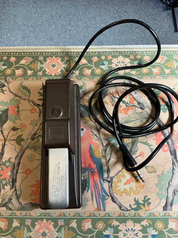 Roland 1980's vintage Expression Sustain Foot Pedal image 1