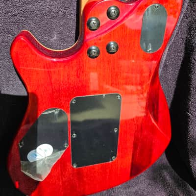 Fender EVH Wolfgang 2024 Ziricote image 7