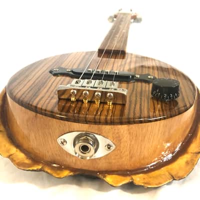 4 string Turtle shell slide guitar image 8