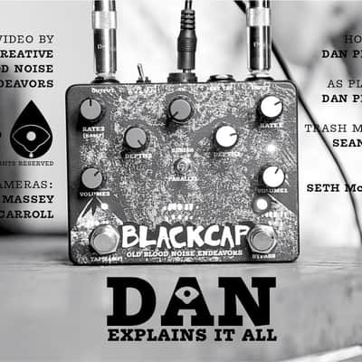 Immagine Old Blood Noise Endeavors Blackcap Asynchronous Dual Tremolo - 5