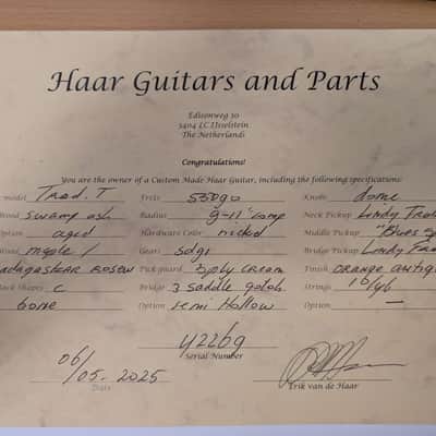Telecaster Haar Guitar Trad T Thinline  orange antique aged imagen 3