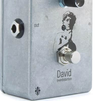 David Over Distortion image 4