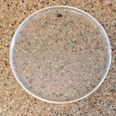 Ludwig 12" Weather Master Clear CM-BATTER Drum Head Vintage image 5