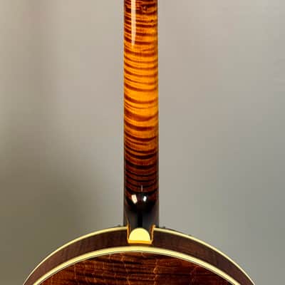 Stelling Sunflower Maple 1998 - Sunburst image 16