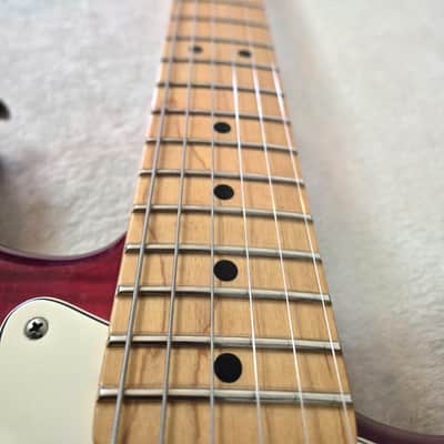 2014 Fender Player Stratocaster HSS Plus-Top & Deluxe Hard-Case image 14