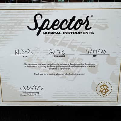 Spector USA NS-2, Haunted Moss / Pau Ferro *On Order, ETA November 2026 image 12