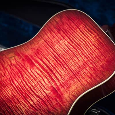 National Scheerhorn Figured Maple Roundneck 2019 image 13