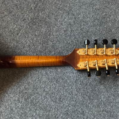 Isola Mandolins A5 2026 - New image 7