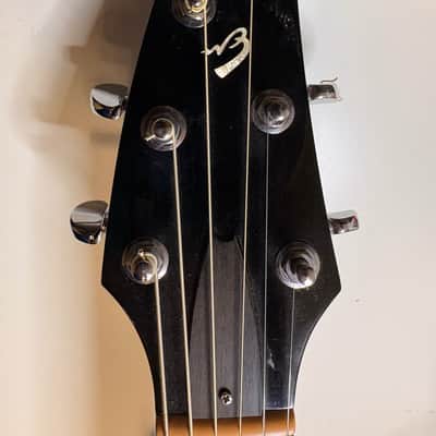 Breedlove Performance Focus D 2010 image 2