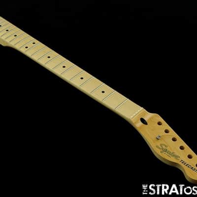 Fender Squier Affinity Series Telecaster FMT SH NECK Part for Tele, Maple! image 2