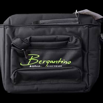 Bergantino Forté D image 5