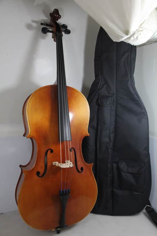 Bellafina Musicale 2024 3/4 Cello image 1